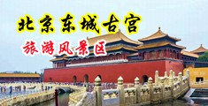 淫荡制服内射中国北京-东城古宫旅游风景区